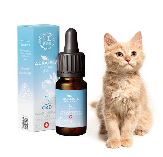 Huile CBD 5% ALPAISIA en flacon compte-gouttes pour chat, avec boîte et chat