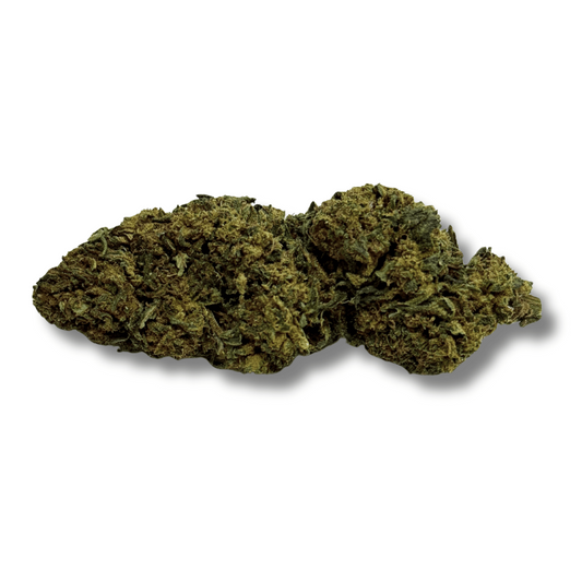 Fleur de CBD verte, inflorescences denses et froissées
