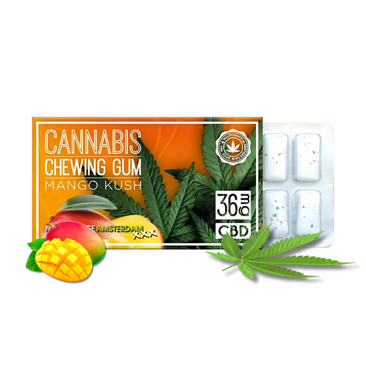 Coffret CBD mangue ouvert, blister de chewing-gum blancs et logo « 36 CBD »