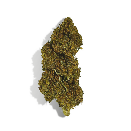 Fleur CBD en vrac, bourgeon dense vert olive.