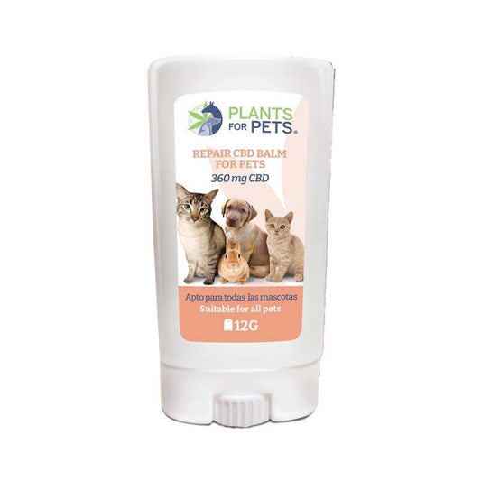 Baume CBD en stick blanc pour animaux, tube avec bouchon à tourner.