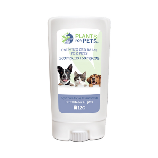 Baume CBD apaisant pour animaux en stick, contenant blanc, 12 g.