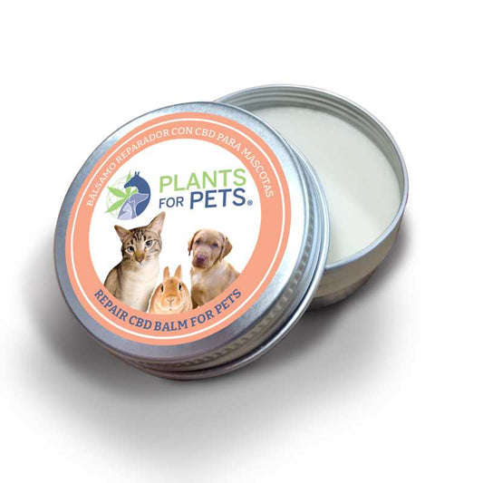 Baume CBD en boîte métallique ronde, couvercle avec étiquette Plants for Pets