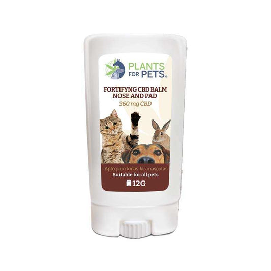 Baume CBD pour animaux en stick, tube blanc, nez et coussinets, 360 mg CBD