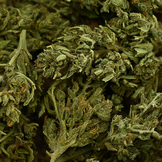 Fleurs de CBD EUPHORIA en gros plan, feuilles vert olive et pistils