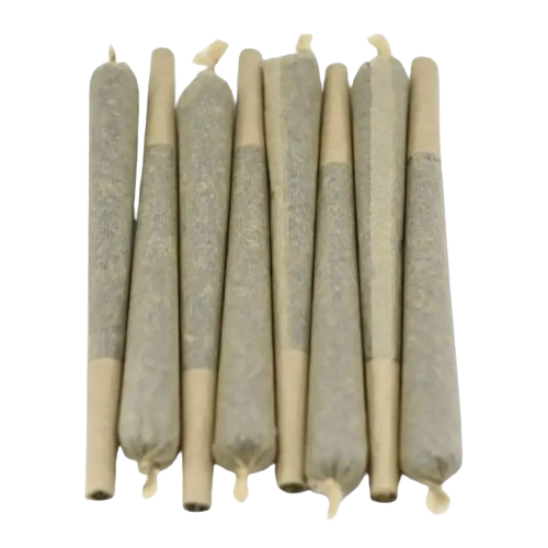 Lot de 50 pré-roulés CBD Amnesia Haze, joints cylindriques brun-gris