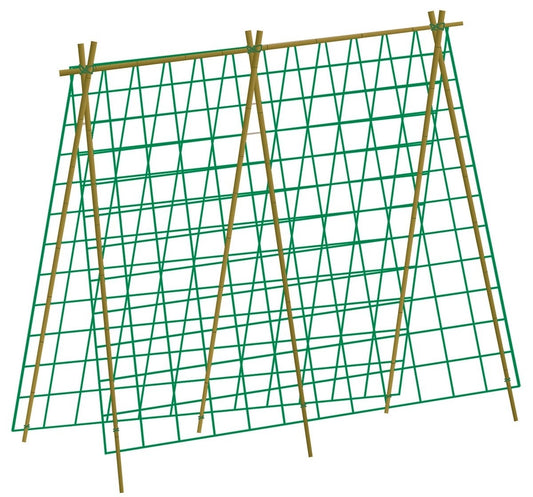 Filet à haricots et pois vert 1,8 x 1,8 m avec structure en bois