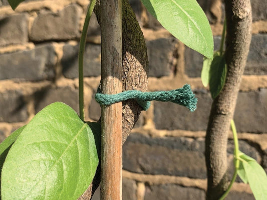 Lien torsadé en jute vert, corde enroulée, 5 m
