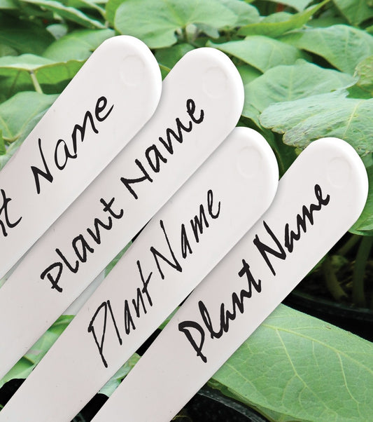 Marqueur de jardin étanche noir, corps blanc et écriture noire sur deux étiquettes