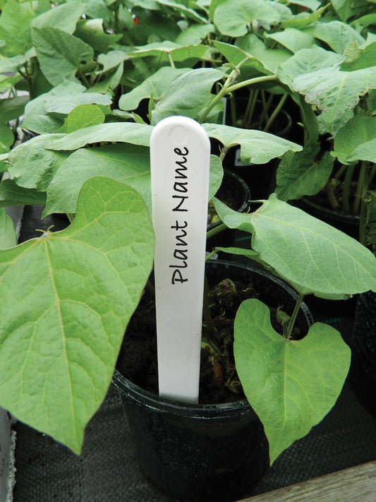 Étiquette blanche pour plantes de 20 cm, avec inscription manuscrite