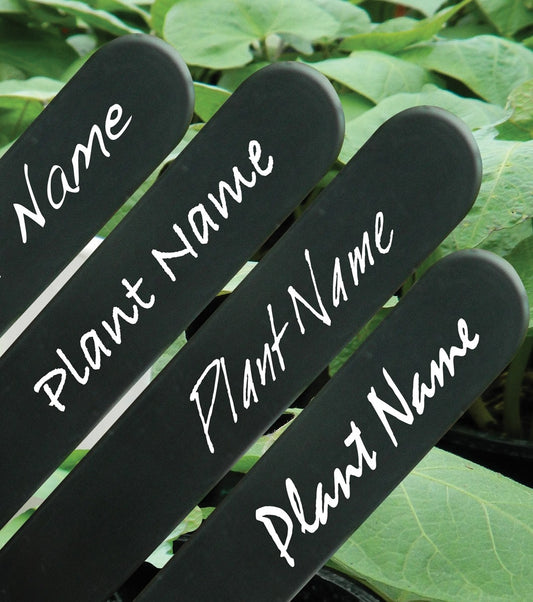 Marqueurs de jardin étanches noirs, inscriptions blanches visibles