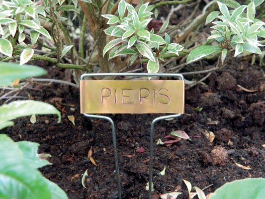 Étiquettes de jardin en cuivre sur tiges, étiquette rectangulaire.
