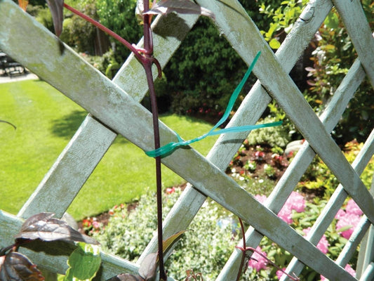 Attaches torsadées noires pour fixer des plantes sur un treillis