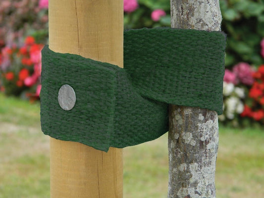 Attache d’arbre en toile de jute verte, bande nouée autour d’un tronc, avec œillet.