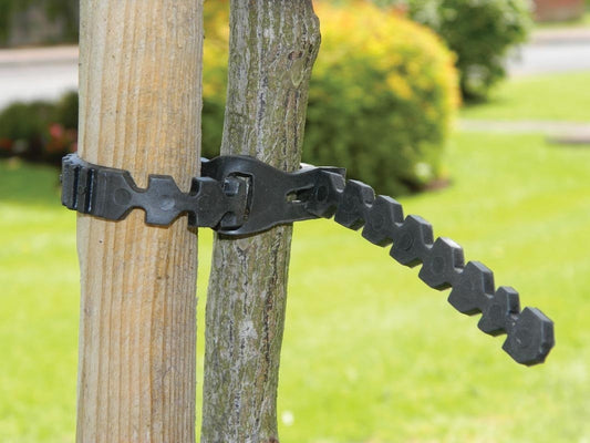 Attache de plantes en plastique noir, 32 cm, se fixe aux tuteurs (lot de 4)