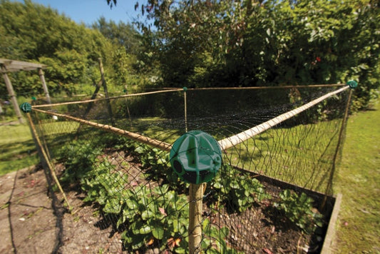 Boules de canne flexibles vert foncé pour filet de jardin