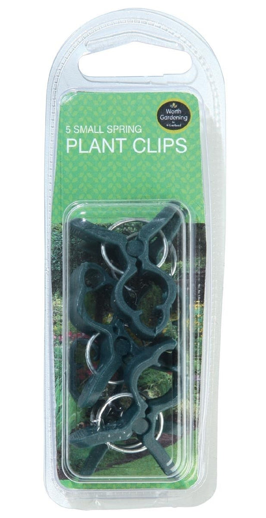 Lot de 5 pinces à plantes vert foncé sur blister avec poignée
