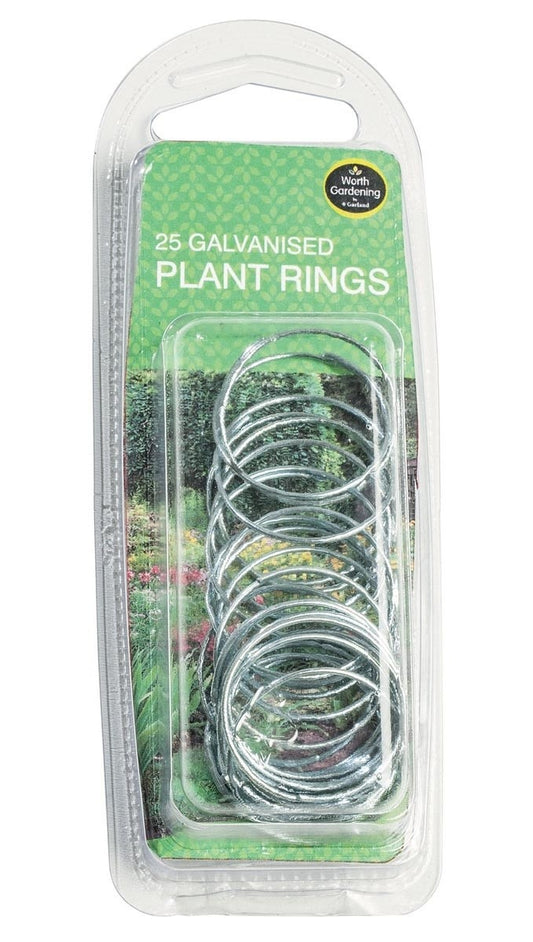 Lot de 25 anneaux de plantes galvanisés en métal, vendus en emballage