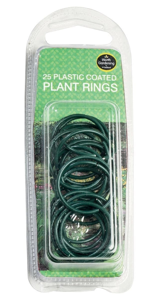 Lot de 25 anneaux de plantes en plastique vert, vendus en barquette blister