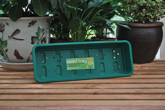 Plateau de semis étroit vert en plastique avec trous et étiquette Seed Tray