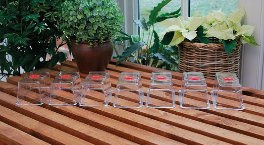 Lot de couvercles de serre dôme mini transparents avec clapets rouges