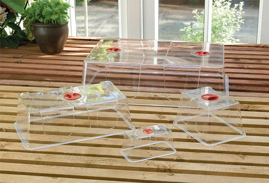Couvercle transparent de serre propagateur en plastique, avec poignées rouges et ouvertures