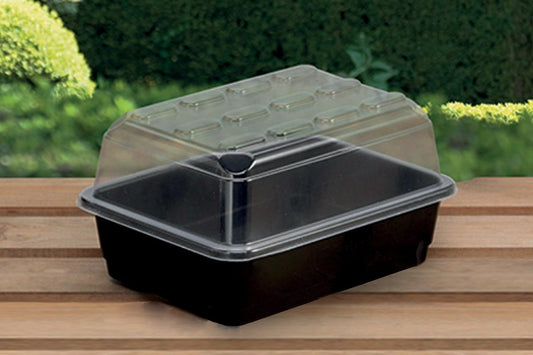 Petit propagateur de plantes à couvercle transparent et base noire, avec trous