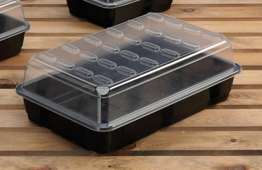 Propagateur pour semis à petit budget, base noire et couvercle transparent avec alvéoles