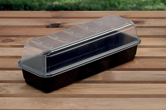 Propagateur étroit noir avec couvercle transparent et alvéoles de ventilation