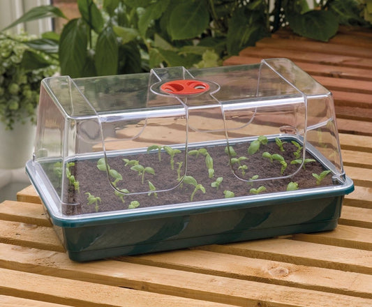 Serre de jardin grand dôme transparent avec base vert foncé et extracteur rouge