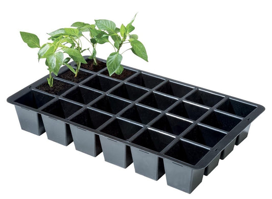 Plateau d’inserts à 24 cellules, noir, avec jeunes plants en godets