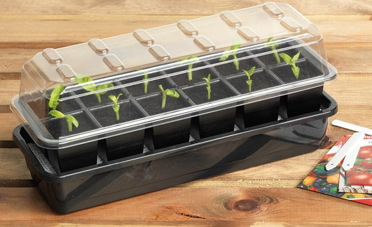 Plateau de semis à 12 cellules avec couvercle transparent pour arrosage automatique