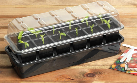 Plateau de semis transparent avec 12 cellules, couvercle pour arrosage automatique