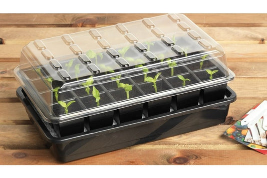 Plateau de semis à arrosage automatique transparent, couvercle, 24 cellules
