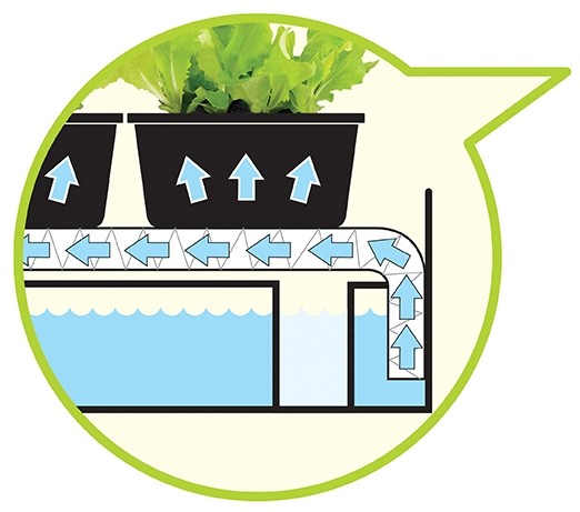 Schéma de lampe de culture : répartition de lumière et circulation d’air pour plants