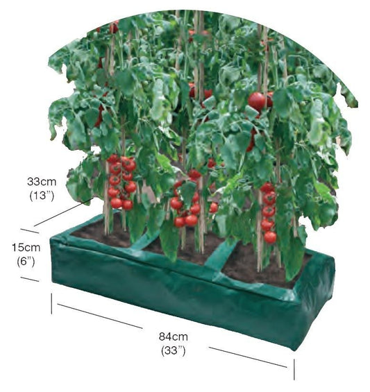 Sac de culture rectangulaire vert avec parois souples, sol et plants de tomates