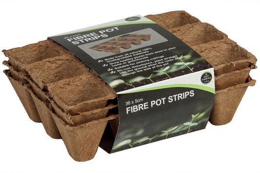 Pack de 36 pots en fibre biodégradable, boîte avec étiquette