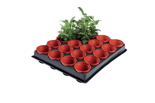 Plateau de semis noir avec pots rouges et jeunes plants