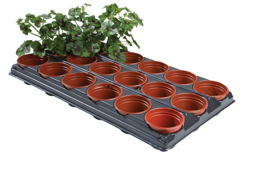 Plateau d’empotage avec 18 pots en terre cuite sur plateau gris, 18 x 9 cm