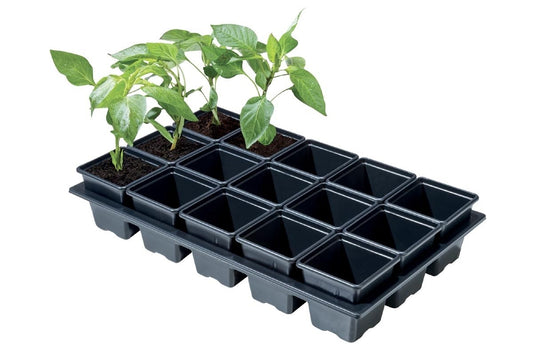 Mini bac à légumes en plastique noir avec 15 godets carrés et jeunes plants verts.
