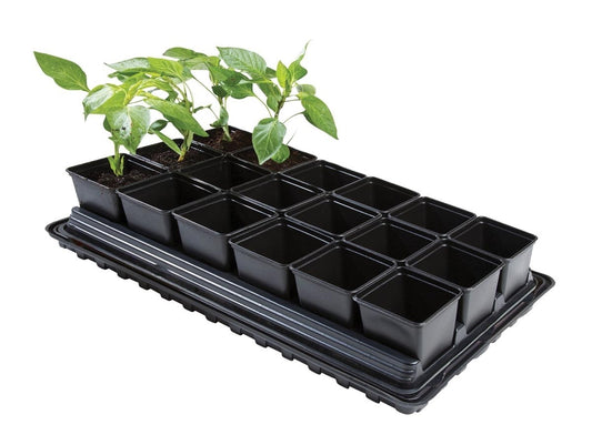 Plateau de culture avec 18 pots carrés noirs et jeunes plants, sur base
