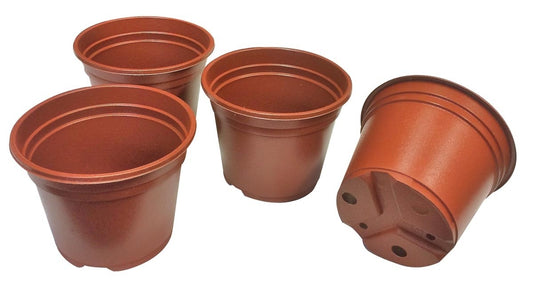 Lot de pots de culture de remplacement orange, diamètre 11 cm, plusieurs unités