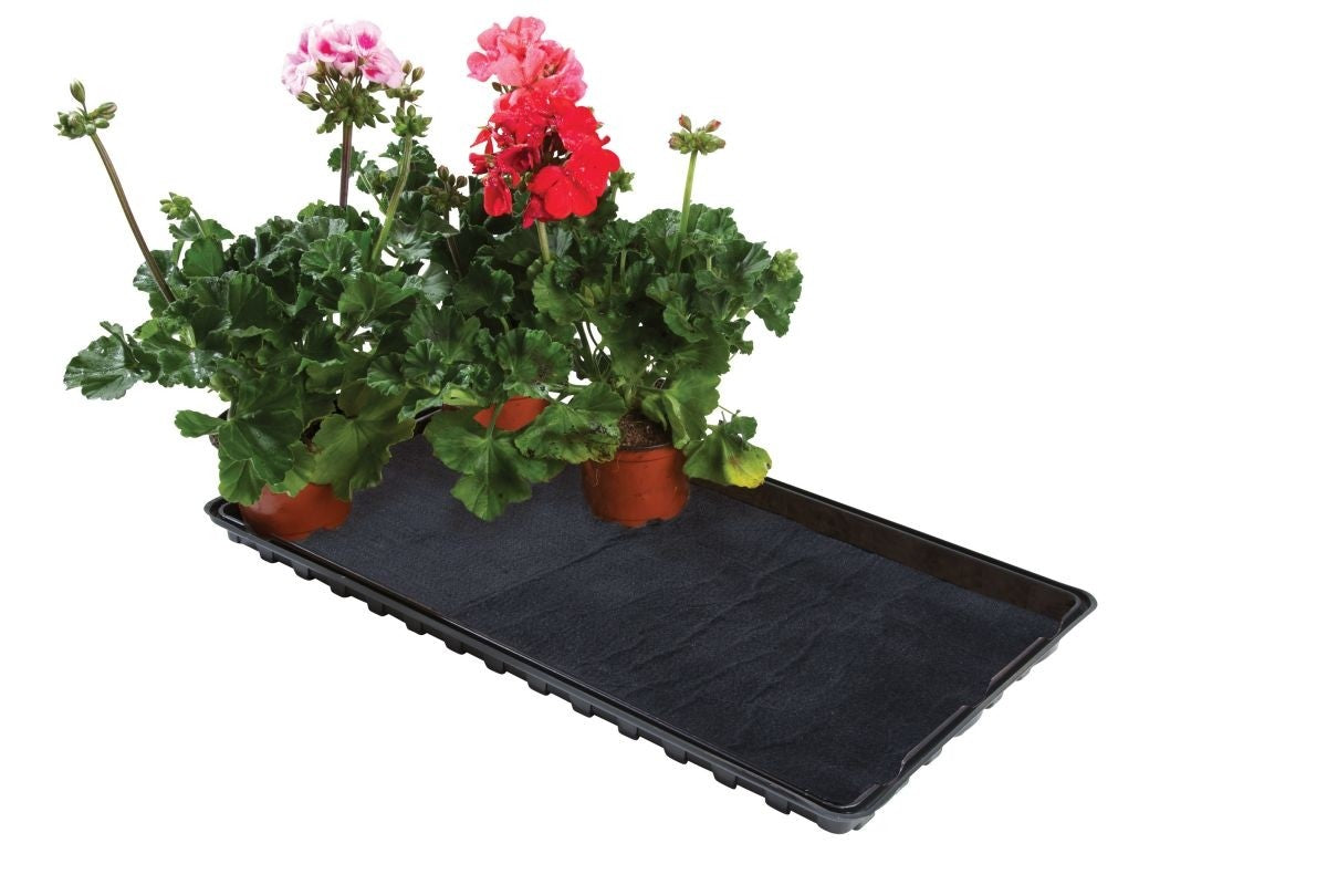 Plateau d’arrosage noir avec tapis capillaire, pots de fleurs et plantes