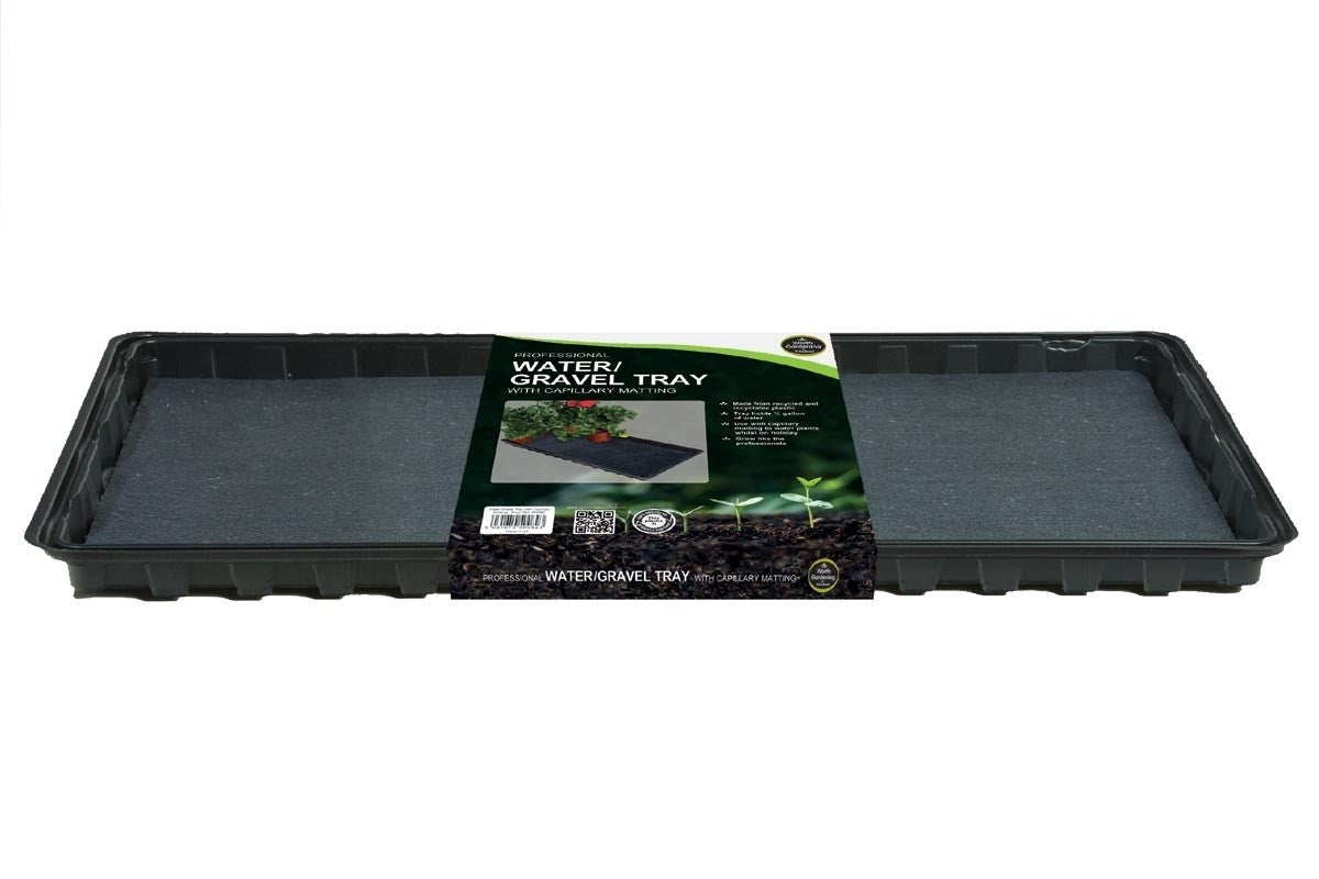 Plateau d’arrosage avec tapis capillaire, bac noir rectangulaire (vide)