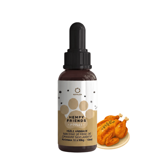 Flacon d’huile de chanvre pour animaux NOVALOA, avec pipette, 3% poulet, 10 ml