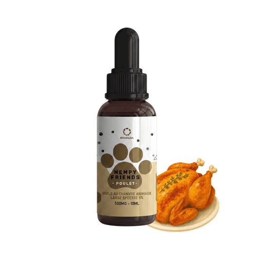 Huile de chanvre pour animaux NOVALOA 5% au poulet, flacon compte-gouttes