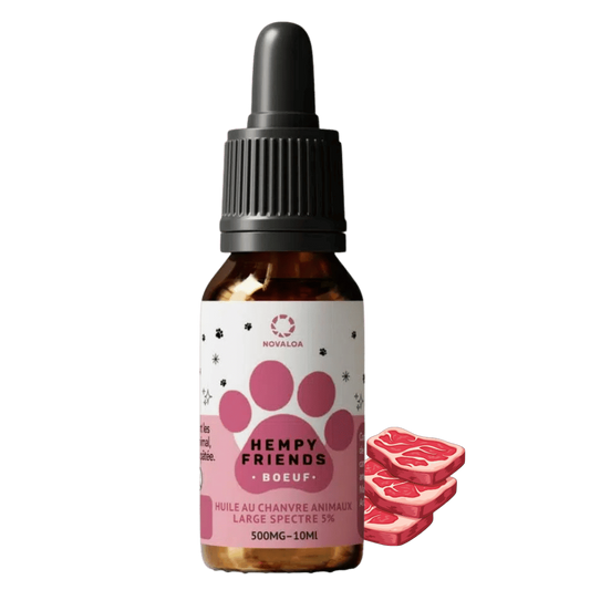 Flacon compte-gouttes d’huile au chanvre pour animaux NOVALOA, 5% bœuf, 10 ml