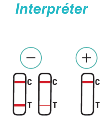 Test salivaire TODA PHARMA avec deux cassettes, lignes C et T visibles