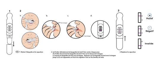 Test salivaire TODA PHARMA avec schéma d’utilisation et cartouche