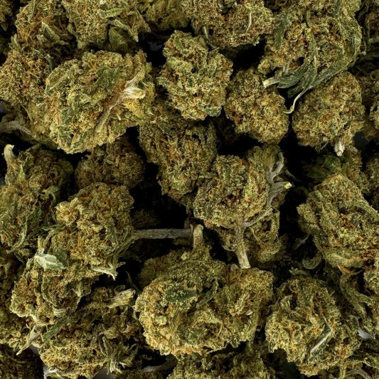Fleurs séchées de CBD vertes, gros plan sur petits buds texturés